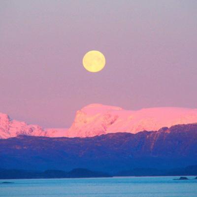 山海镜花无限龙玉版下载